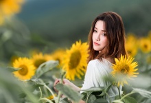 茶香四溢，养生必备：每天一杯茶，生活更绚丽